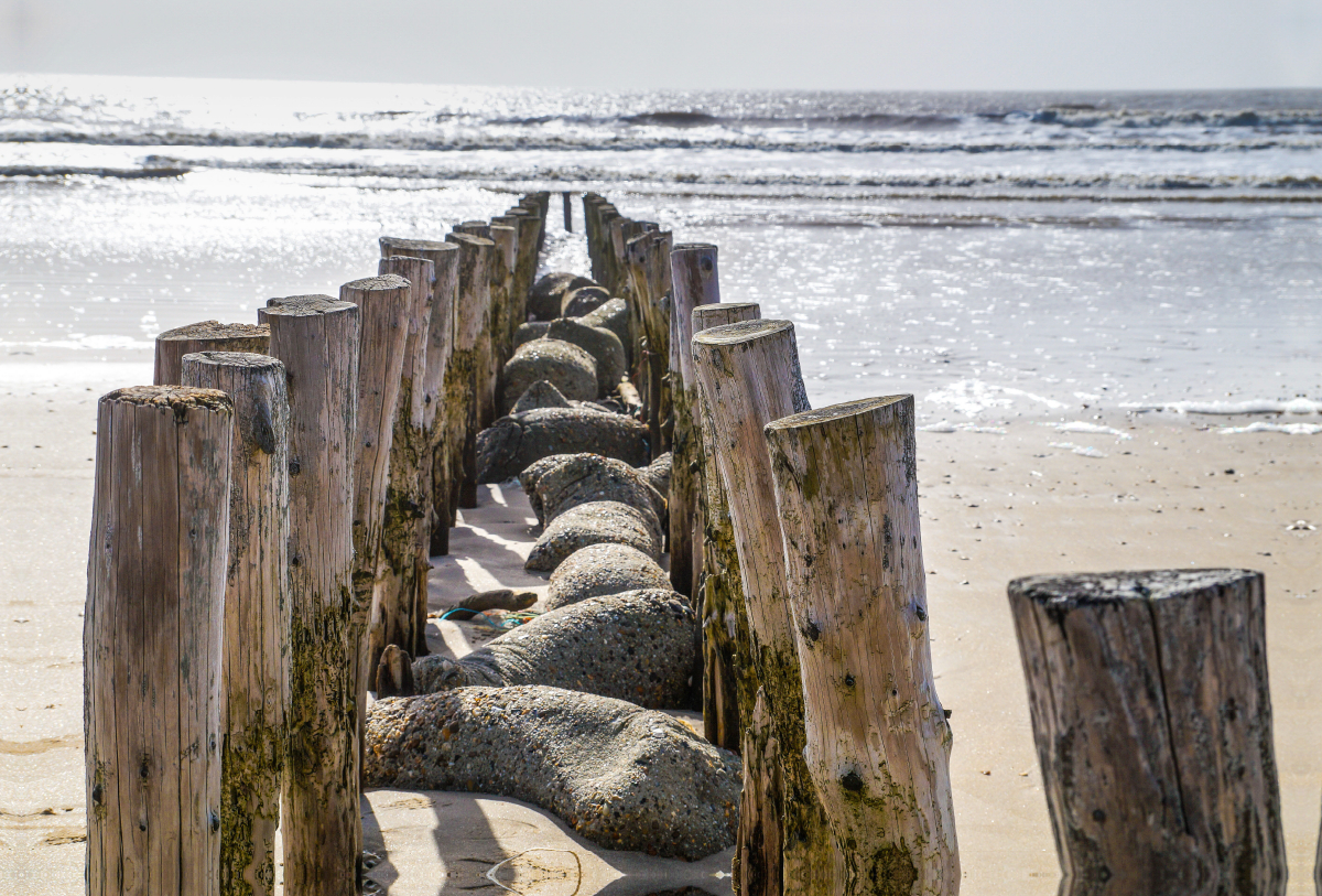 Pfahlreihe am Strand von Blåvand