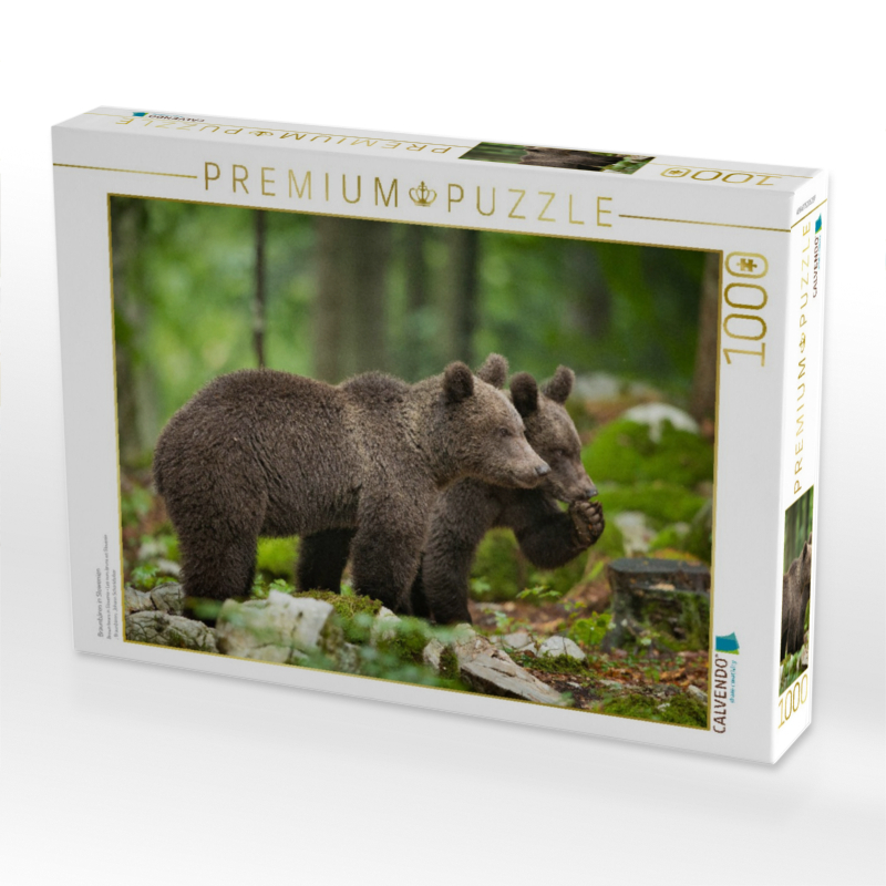 Braunbären in Slowenien
