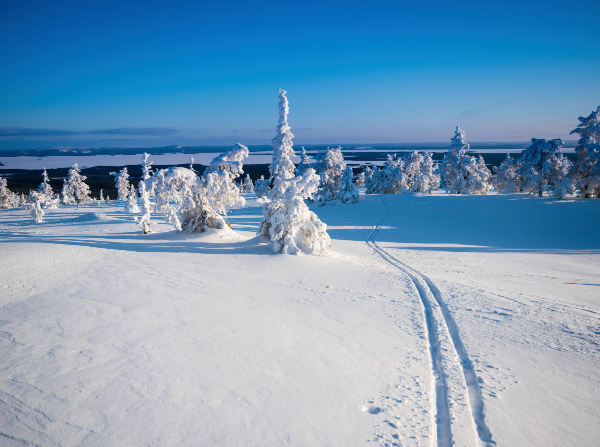 Skispur in die Ferne