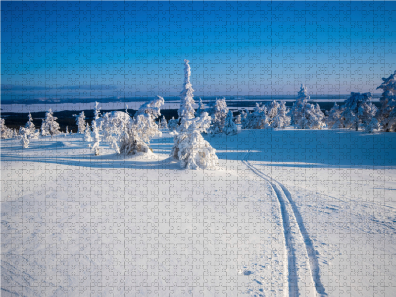 Skispur in die Ferne