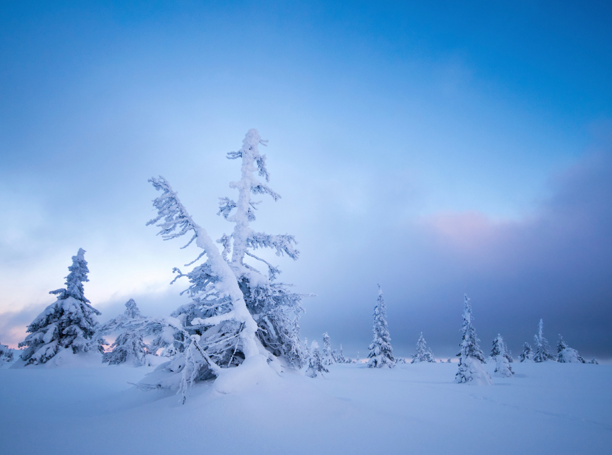 Ein Motiv aus dem Kalender Karelien - Winterwandern in Finnland