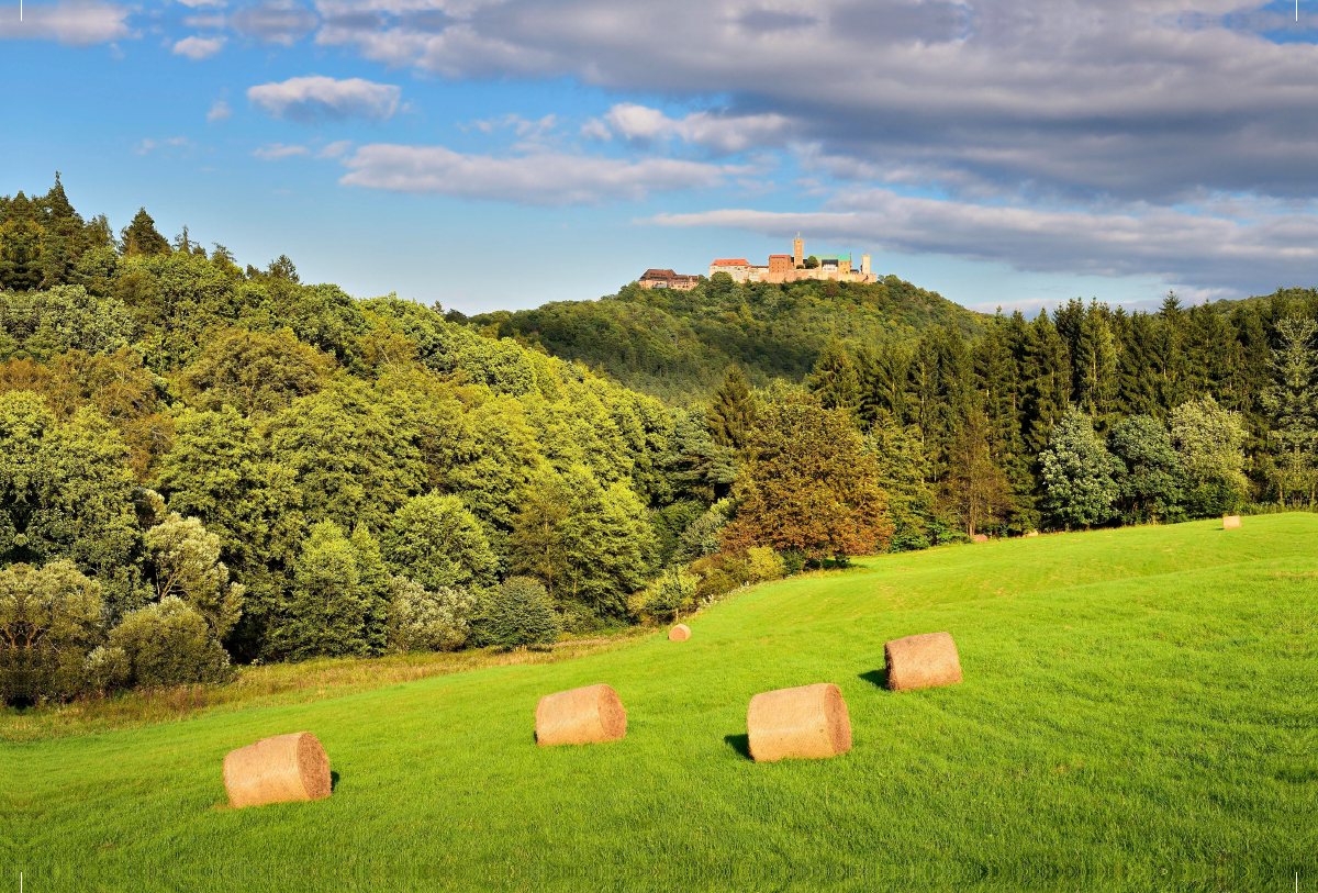 Ausblick auf die Wartburg