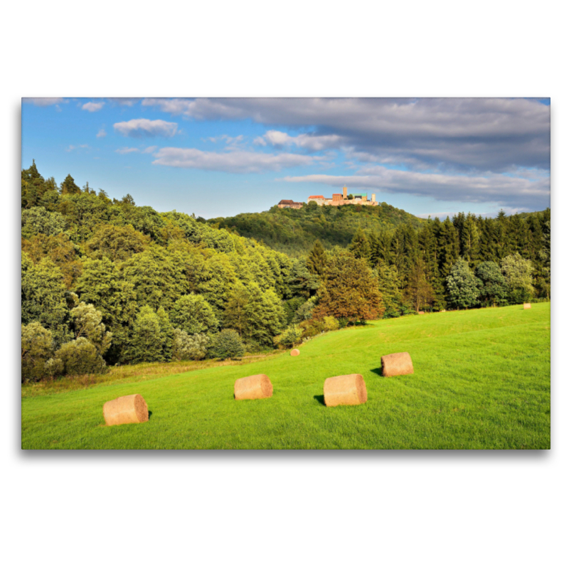 Ausblick auf die Wartburg