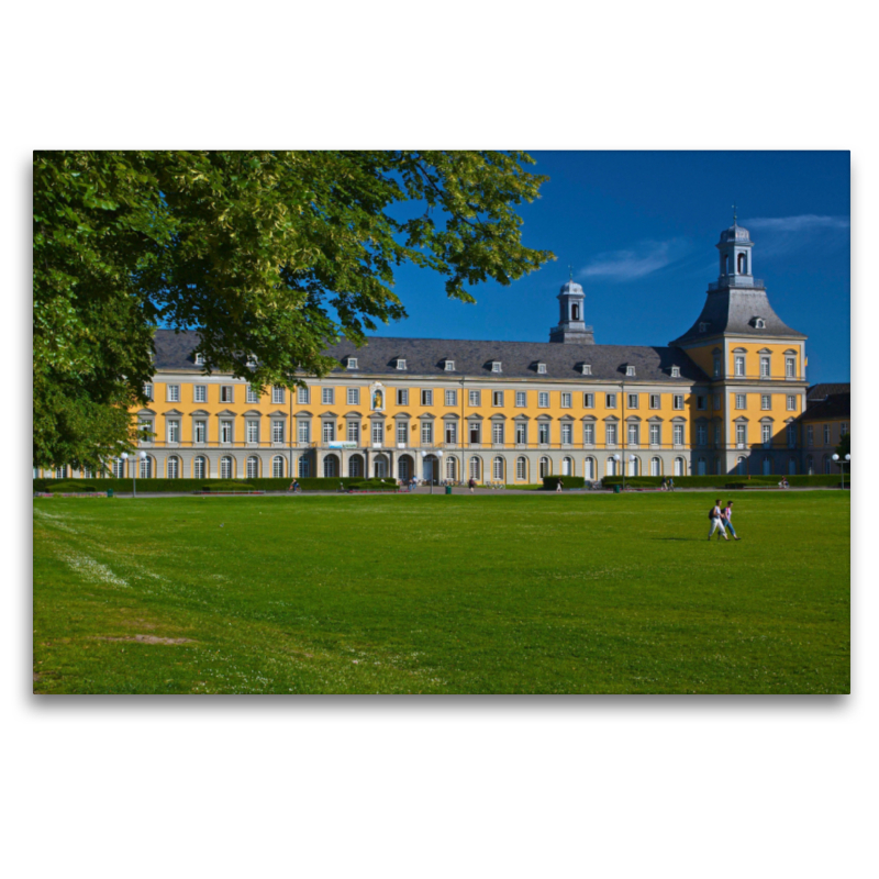 Bonner Universität, ehemaliges Schloss des Kurfürsten von Köln