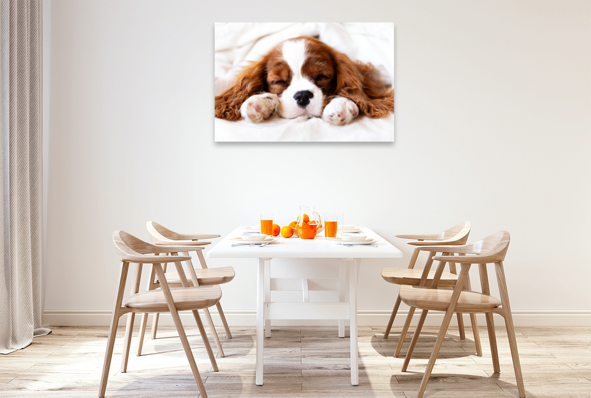 Ein Motiv aus dem Kalender Der Welpenkalender - Cavalier King Charles Spaniel