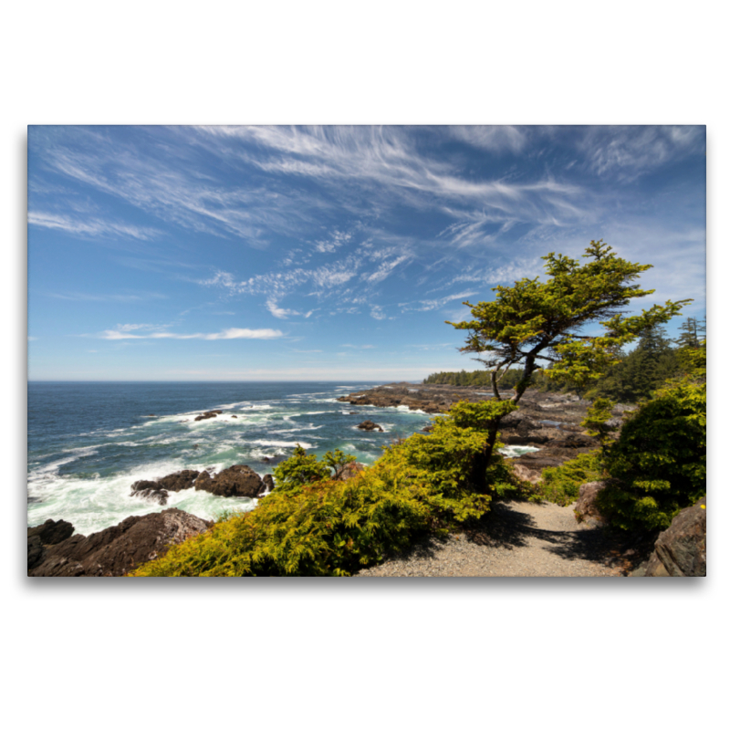 Ucluelet, Vancouver Island / British Columbia