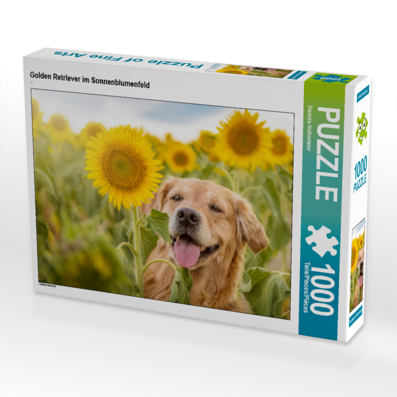 Golden Retriever im Sonnenblumenfeld