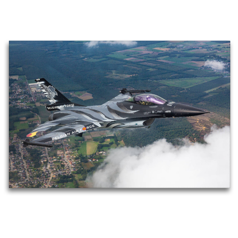 Belgian Air Force - F-16 Fighting Falcon