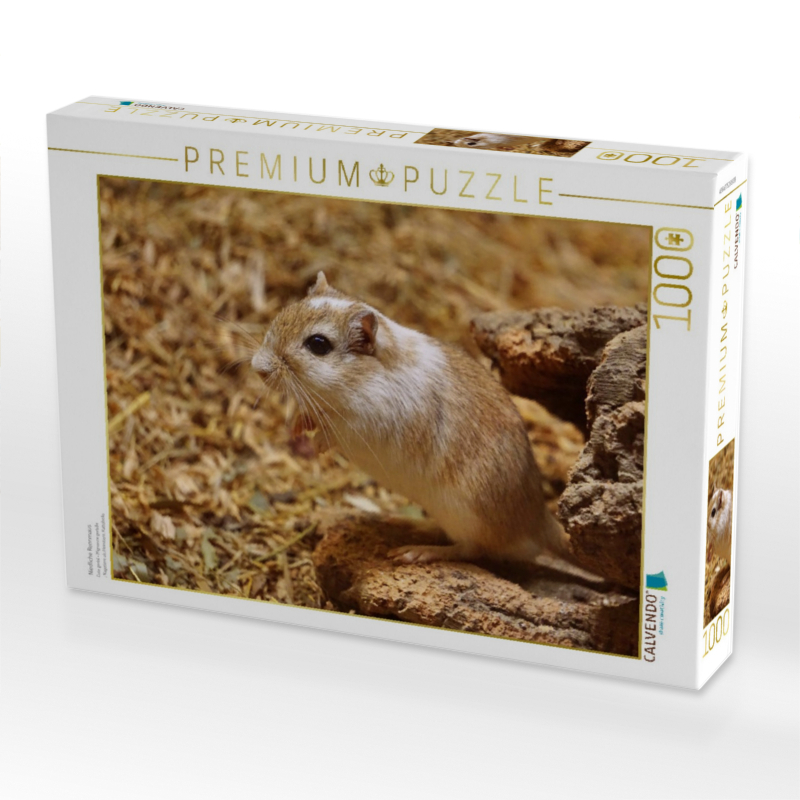 Niedliche Rennmaus