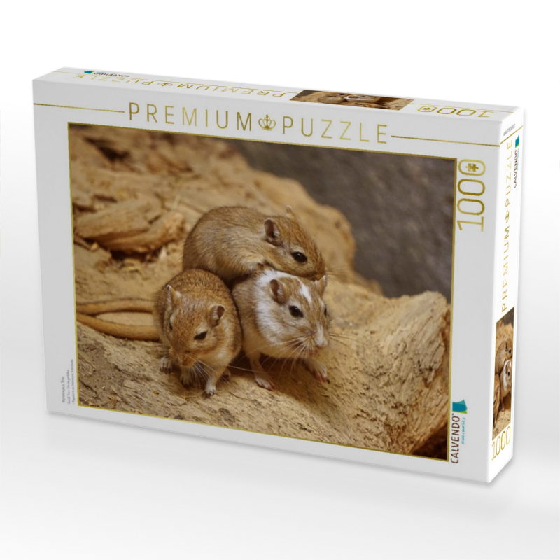 Rennmaus Trio