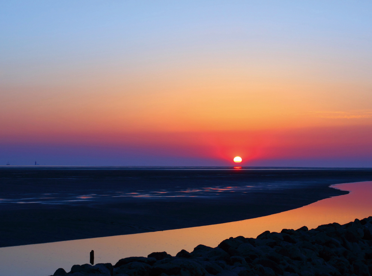 Weltnaturerbe Wattenmeer (3)