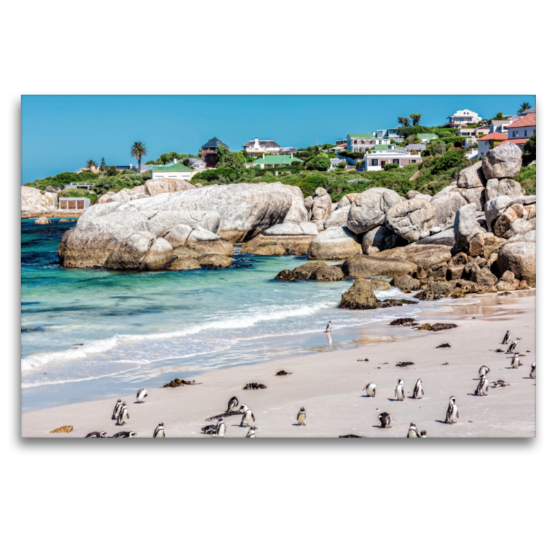 Boulders Beach