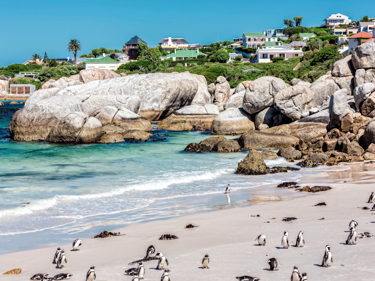 Boulders Beach