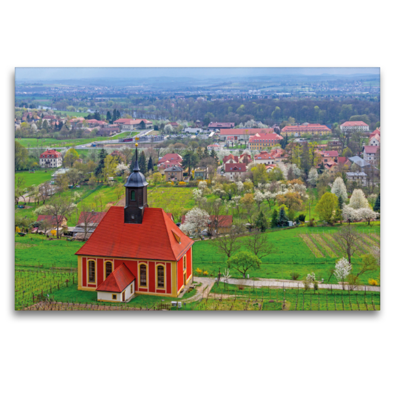 Blick über die Weinbergkirche Pillnitz ins Elbtal