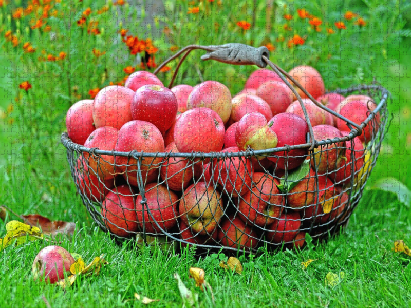 Äpfel im Korb