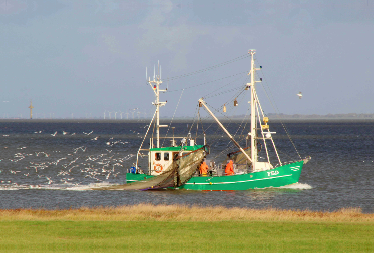 Fischkutter vor Fedderwardersiel