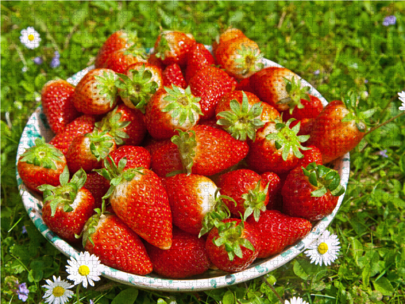 Erdbeeren