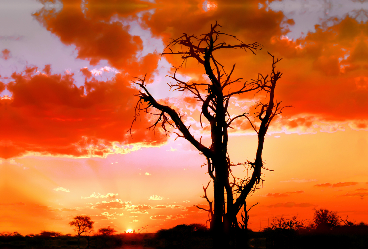 Abend in Namibia