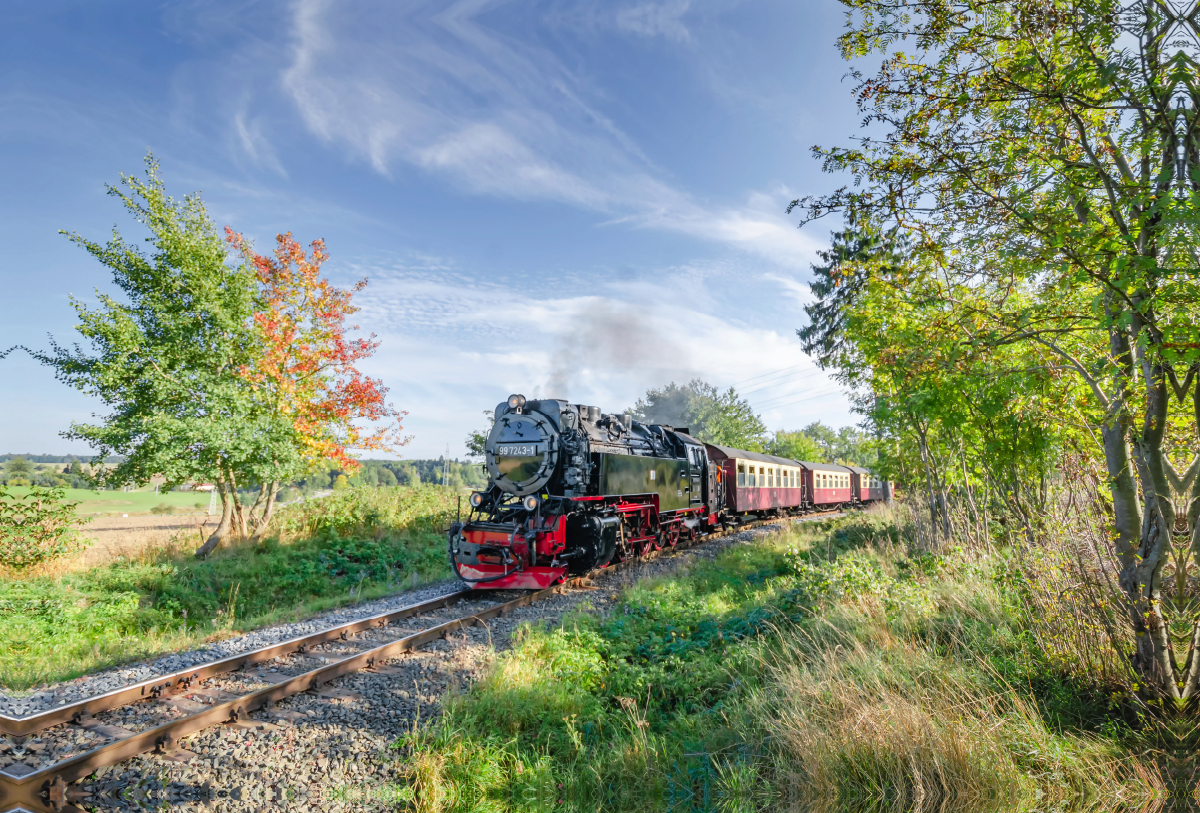 Selketalbahn bei Stiege