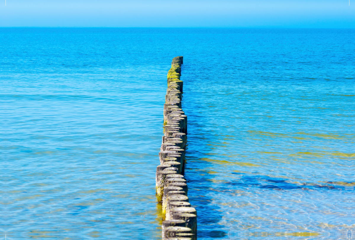 Buhnen aus Holzstämmen schützen den Strand der Insel Hiddensee vor Erosion und ragen weit in das Wasser der Ostsee hinein, Insel Hiddensee, Ostsee, Mecklenburg-Vorpommern, Deutschland