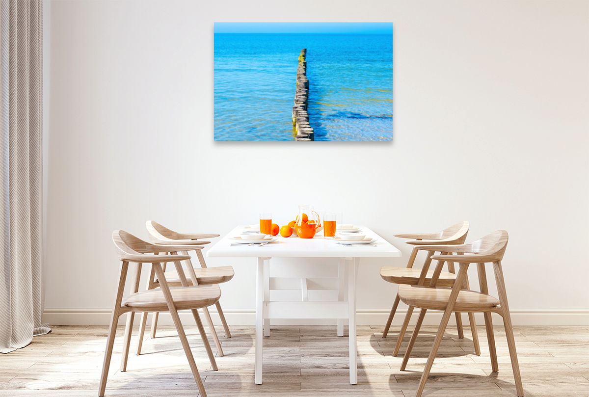 Buhnen aus Holzstämmen schützen den Strand der Insel Hiddensee vor Erosion und ragen weit in das Wasser der Ostsee hinein, Insel Hiddensee, Ostsee, Mecklenburg-Vorpommern, Deutschland