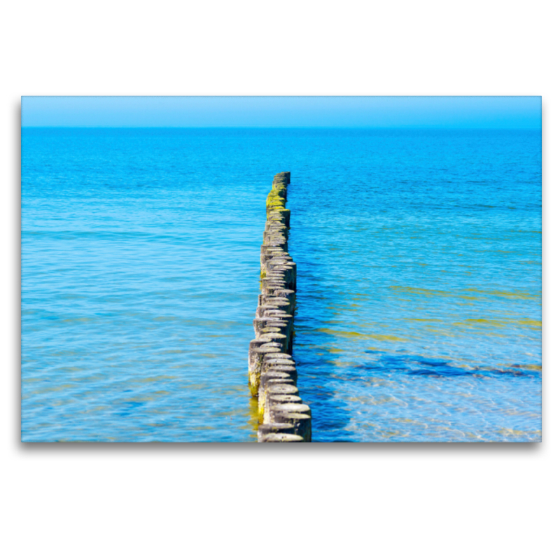 Buhnen aus Holzstämmen schützen den Strand der Insel Hiddensee vor Erosion und ragen weit in das Wasser der Ostsee hinein, Insel Hiddensee, Ostsee, Mecklenburg-Vorpommern, Deutschland