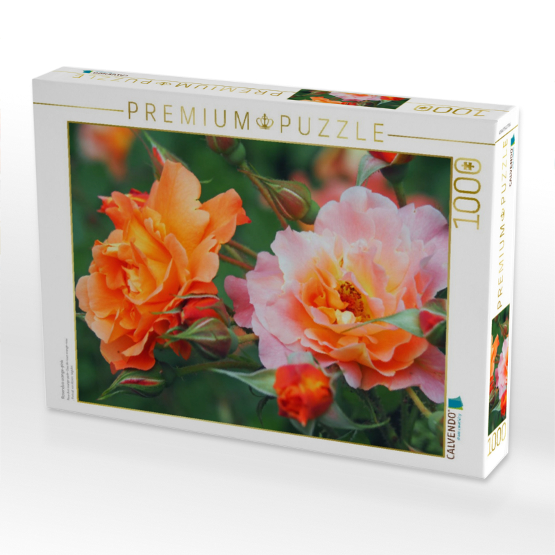 Rosenduo orange-pink