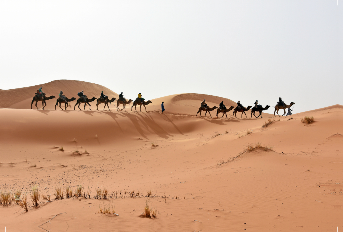 Eine Karawane in der Erg Chebbi, dem großen Dünengebiet der Sahara in Marokko