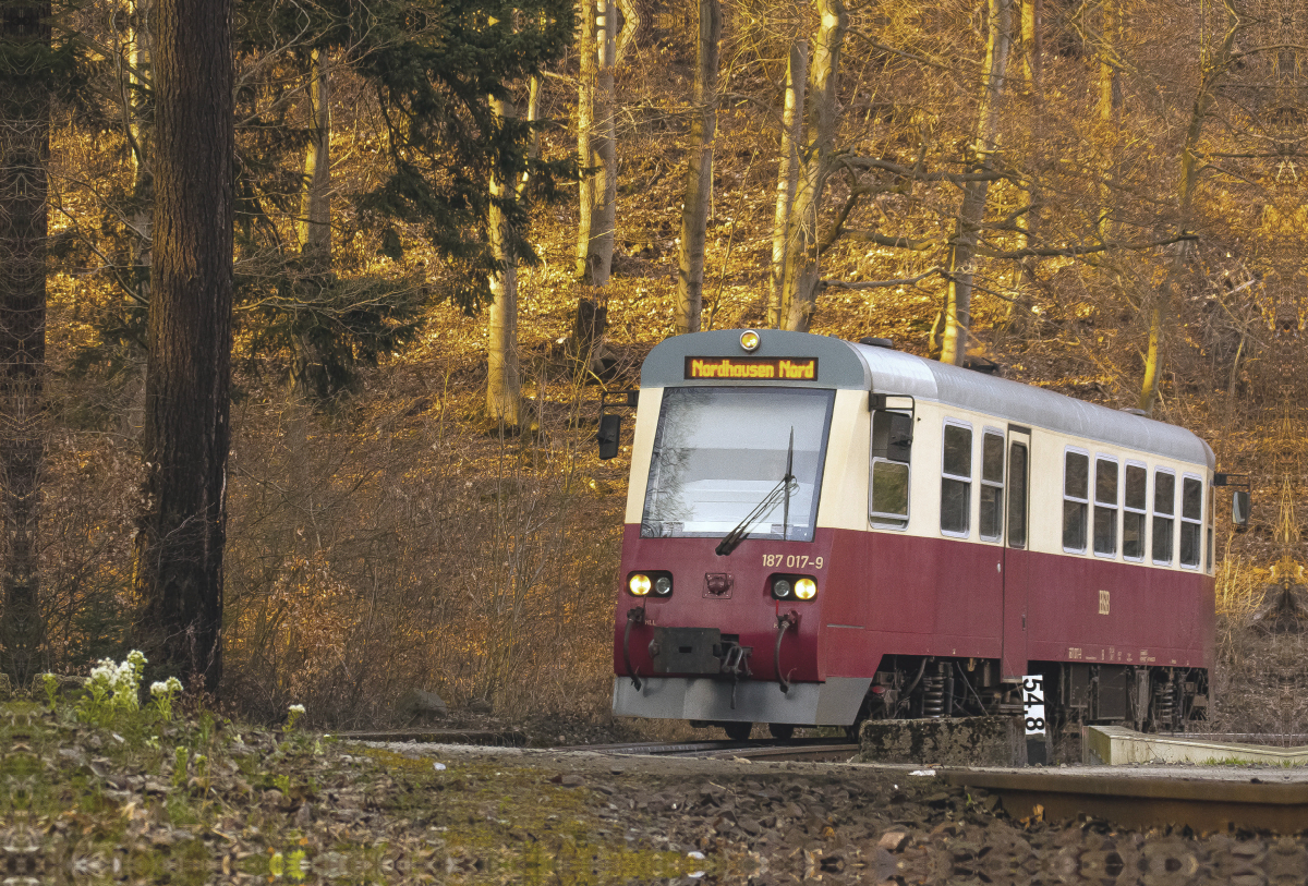 Moderner Harzer Schienenbus