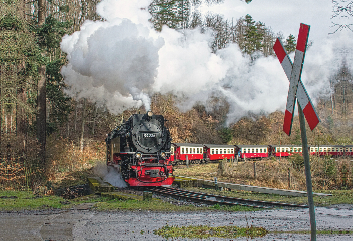 Dampfzug der Brockenbahn