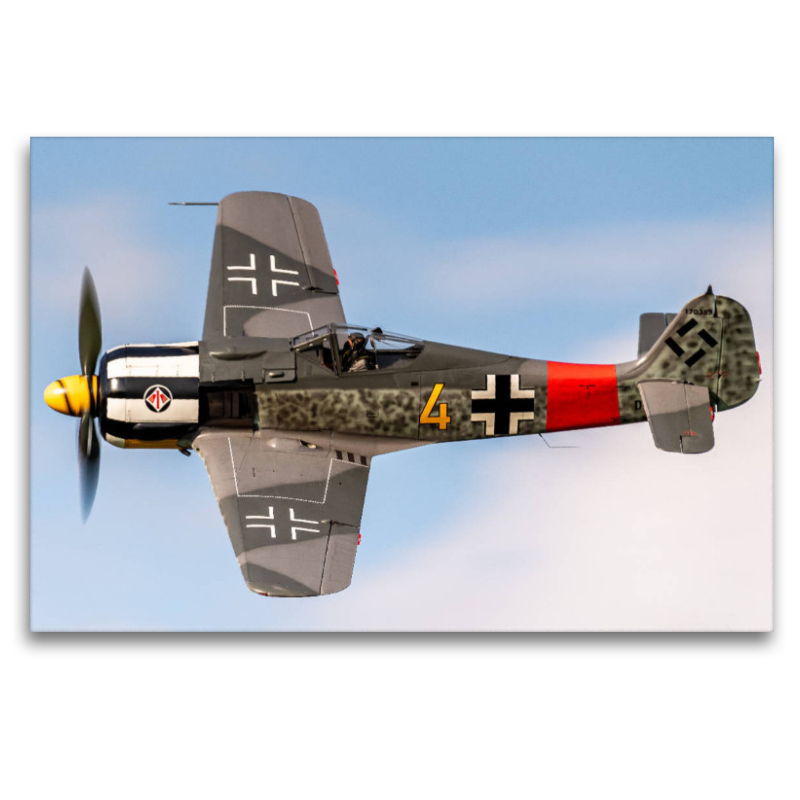 Focke Wulf FW-190 A8/N, Hangar 10 Collection