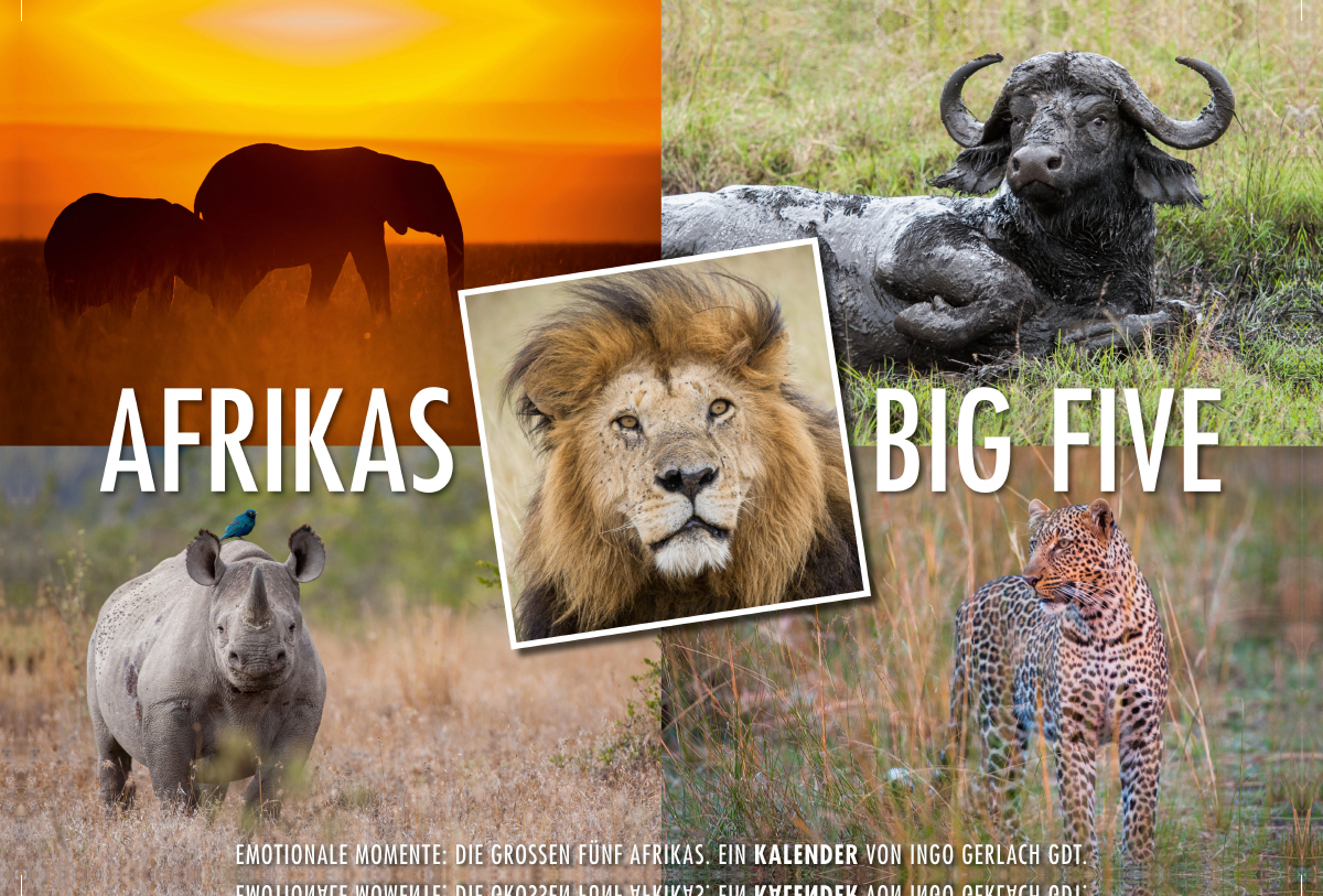 Ein Motiv aus dem Kalender Emotionale Momente: Afrikas Big Five / CH-Version