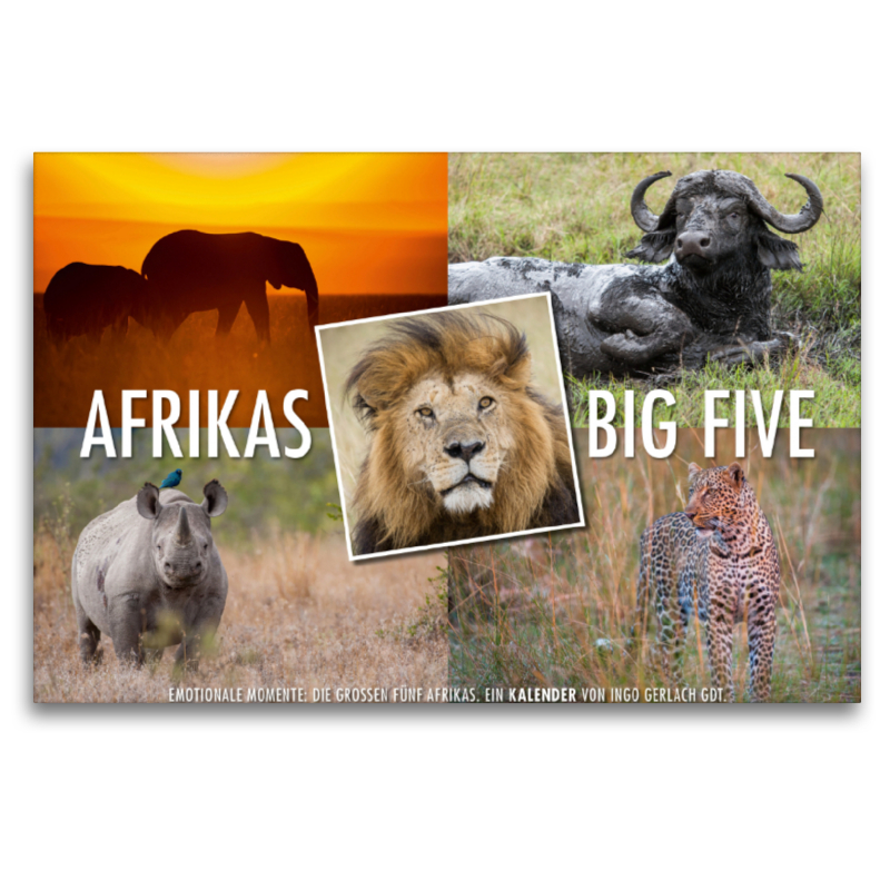 Ein Motiv aus dem Kalender Emotionale Momente: Afrikas Big Five / CH-Version