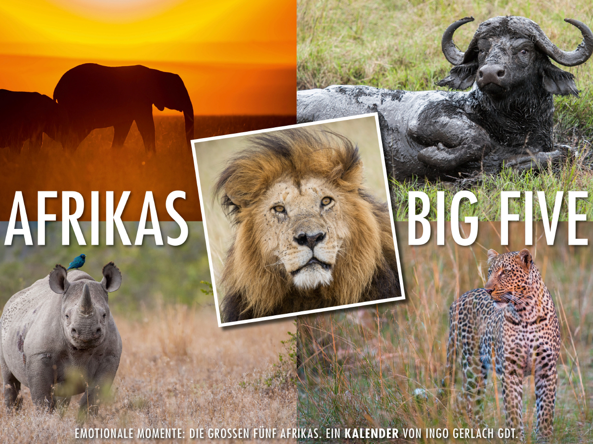 Ein Motiv aus dem Kalender Emotionale Momente: Afrikas Big Five / CH-Version