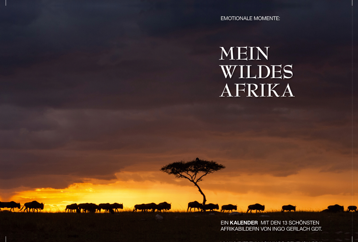 Ein Motiv aus dem Kalender Emotionale Momente: Mein wildes Afrika