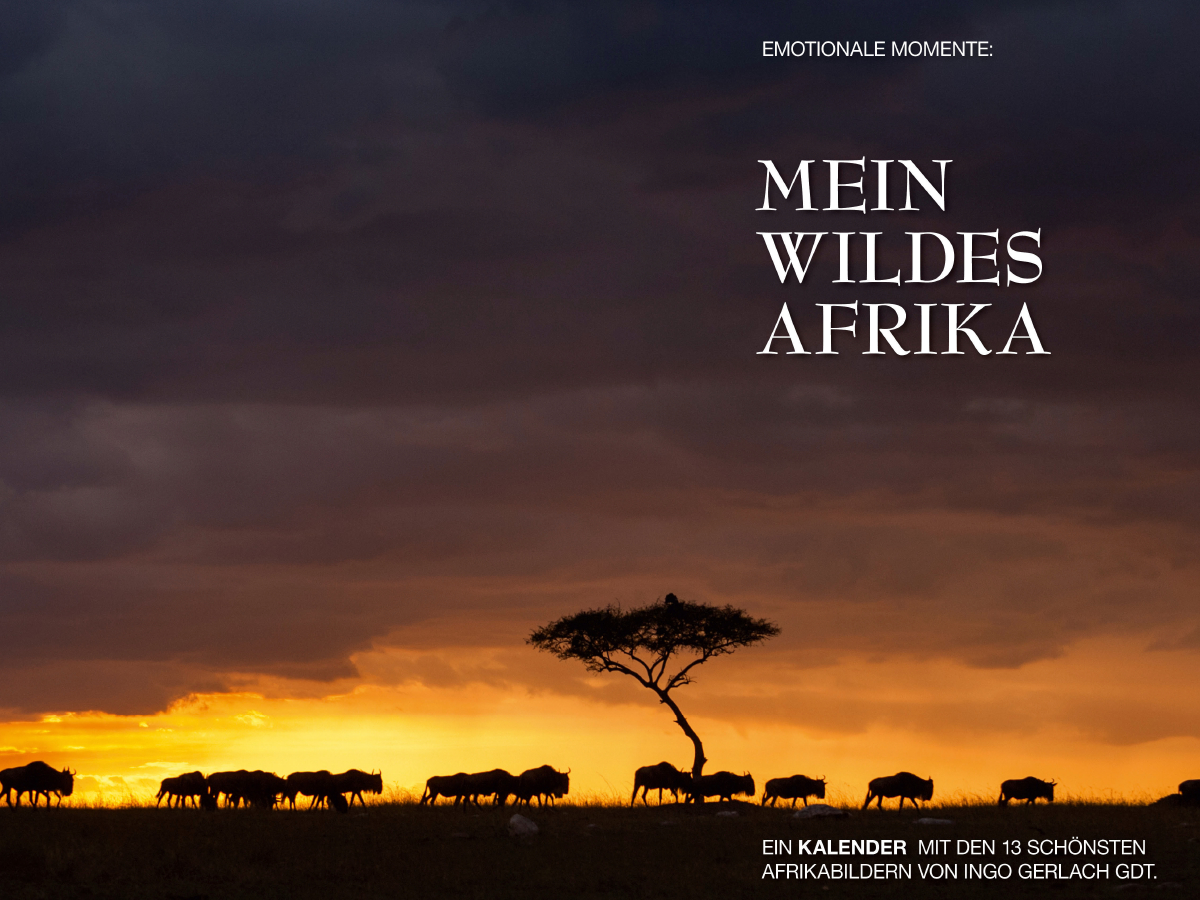 Ein Motiv aus dem Kalender Emotionale Momente: Mein wildes Afrika