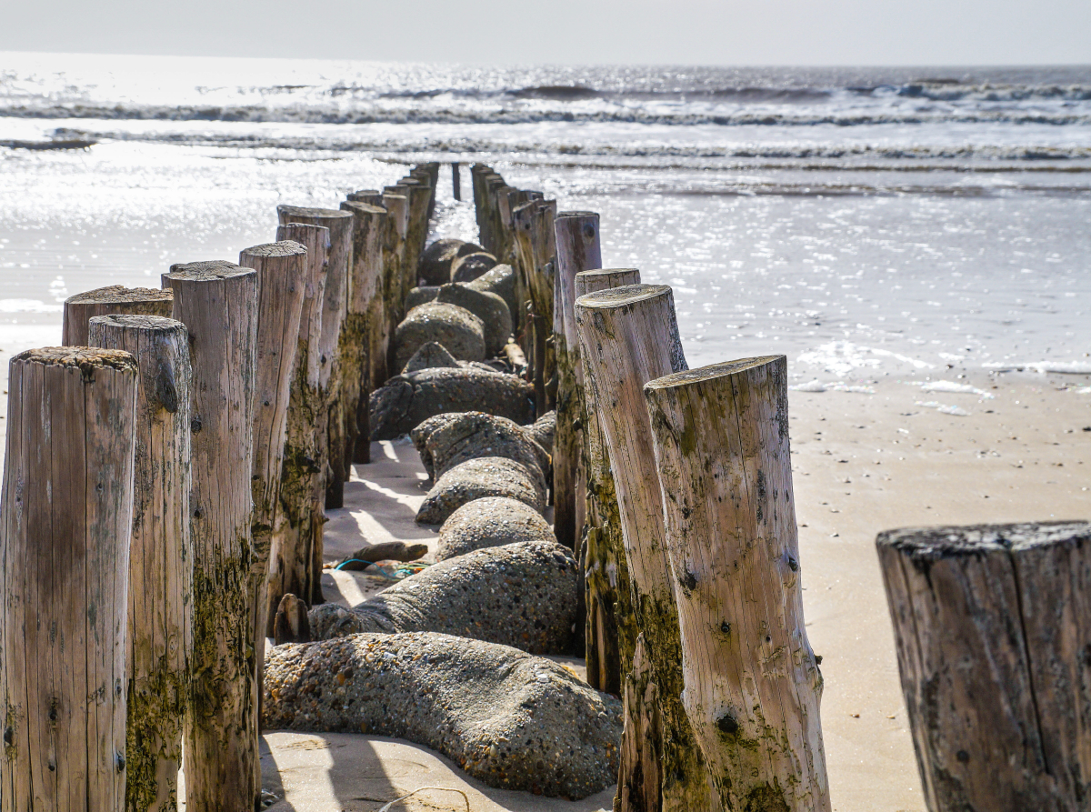 Pfahlreihe am Strand von Blåvand