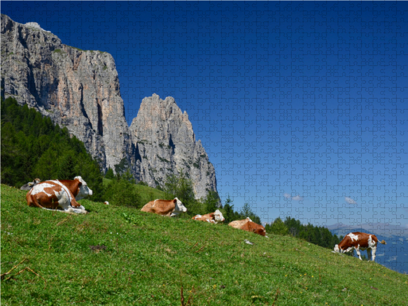 Wiederkäuen unterm Schlern