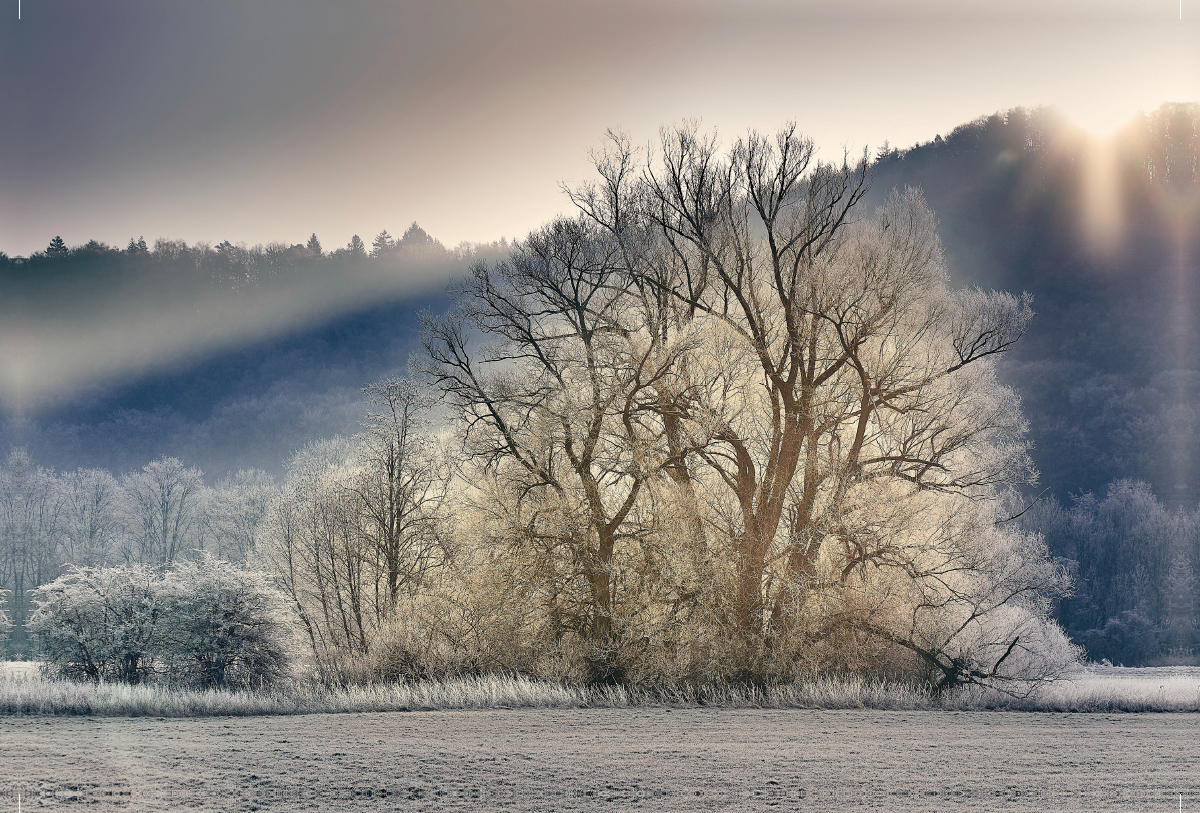 Frostige Weiden an der Altmühl