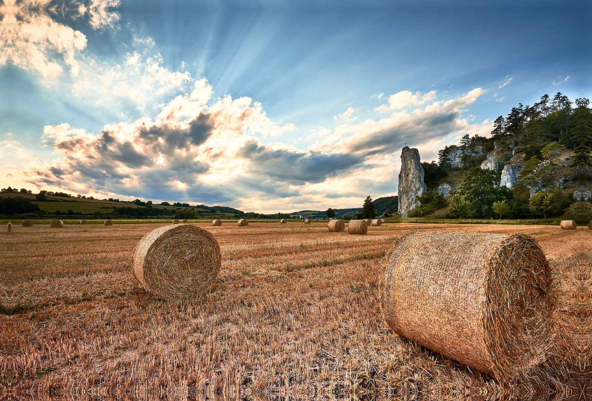 Nach der Ernte am Burgsteinfelsen