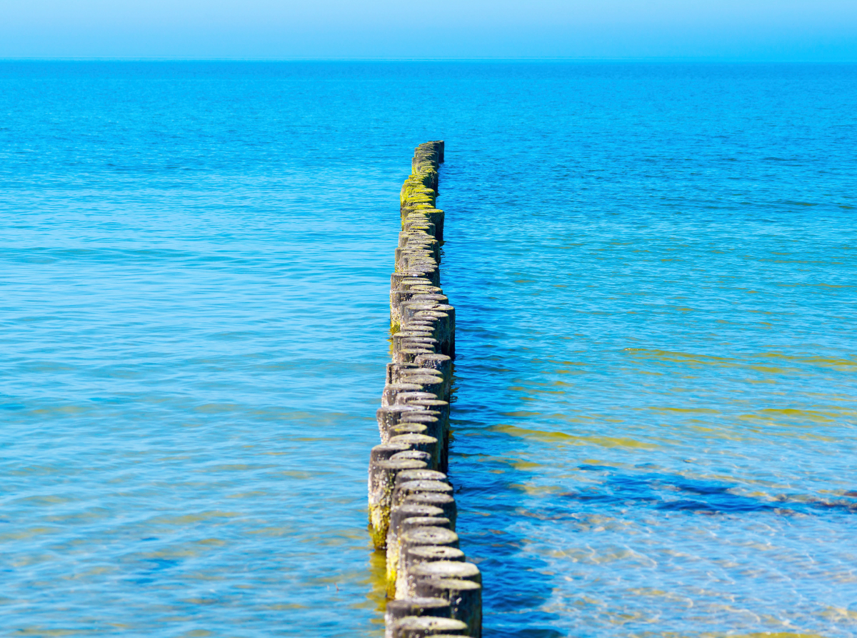 Buhnen aus Holzstämmen schützen den Strand der Insel Hiddensee vor Erosion und ragen weit in das Wasser der Ostsee hinein, Insel Hiddensee, Ostsee, Mecklenburg-Vorpommern, Deutschland