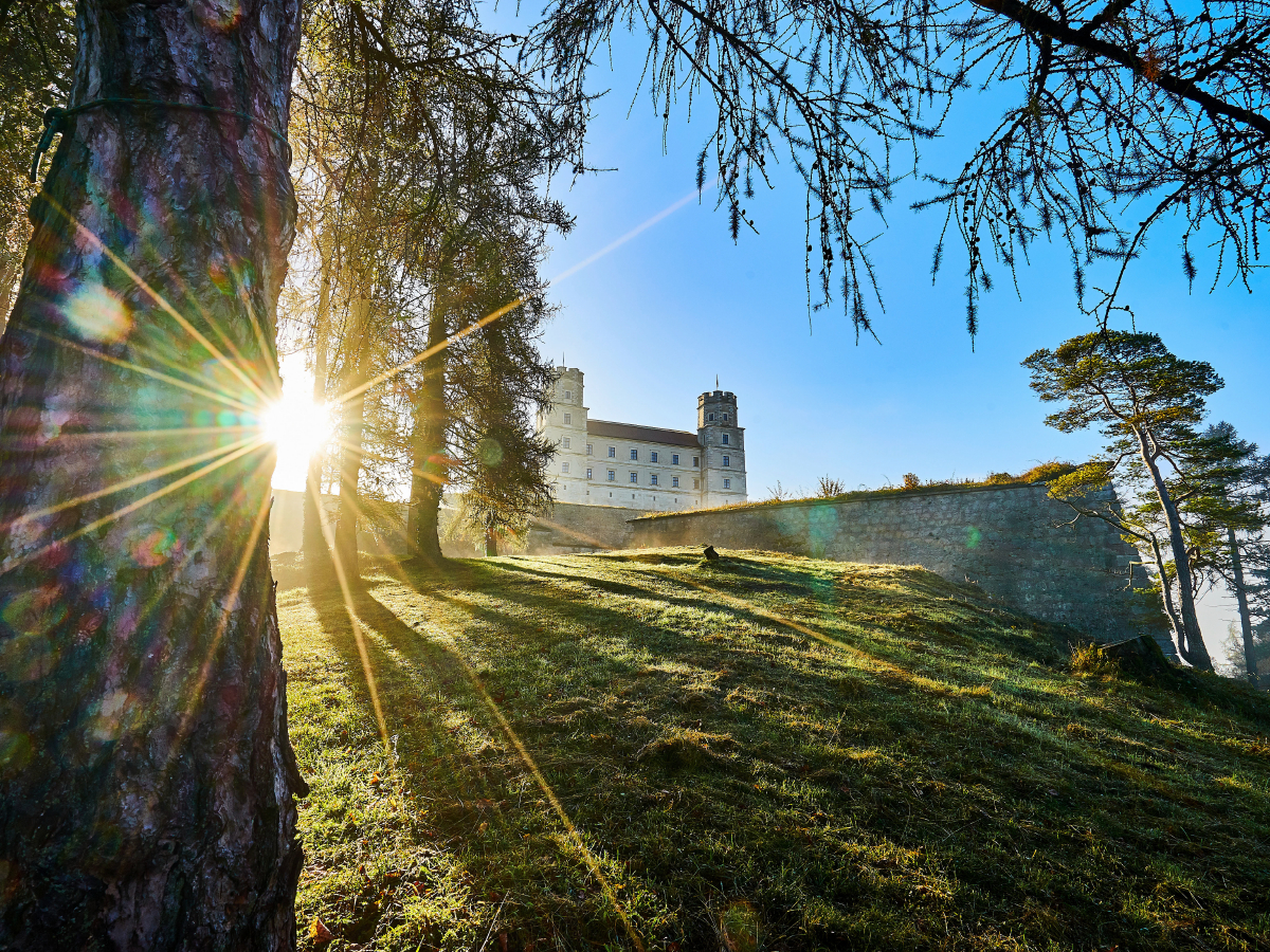 Die Willibaldsburg hoch über Eichstätt