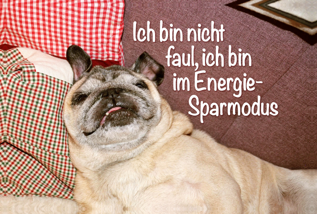 Ich bin nicht faul, ich bin im Energie-Sparmodus.