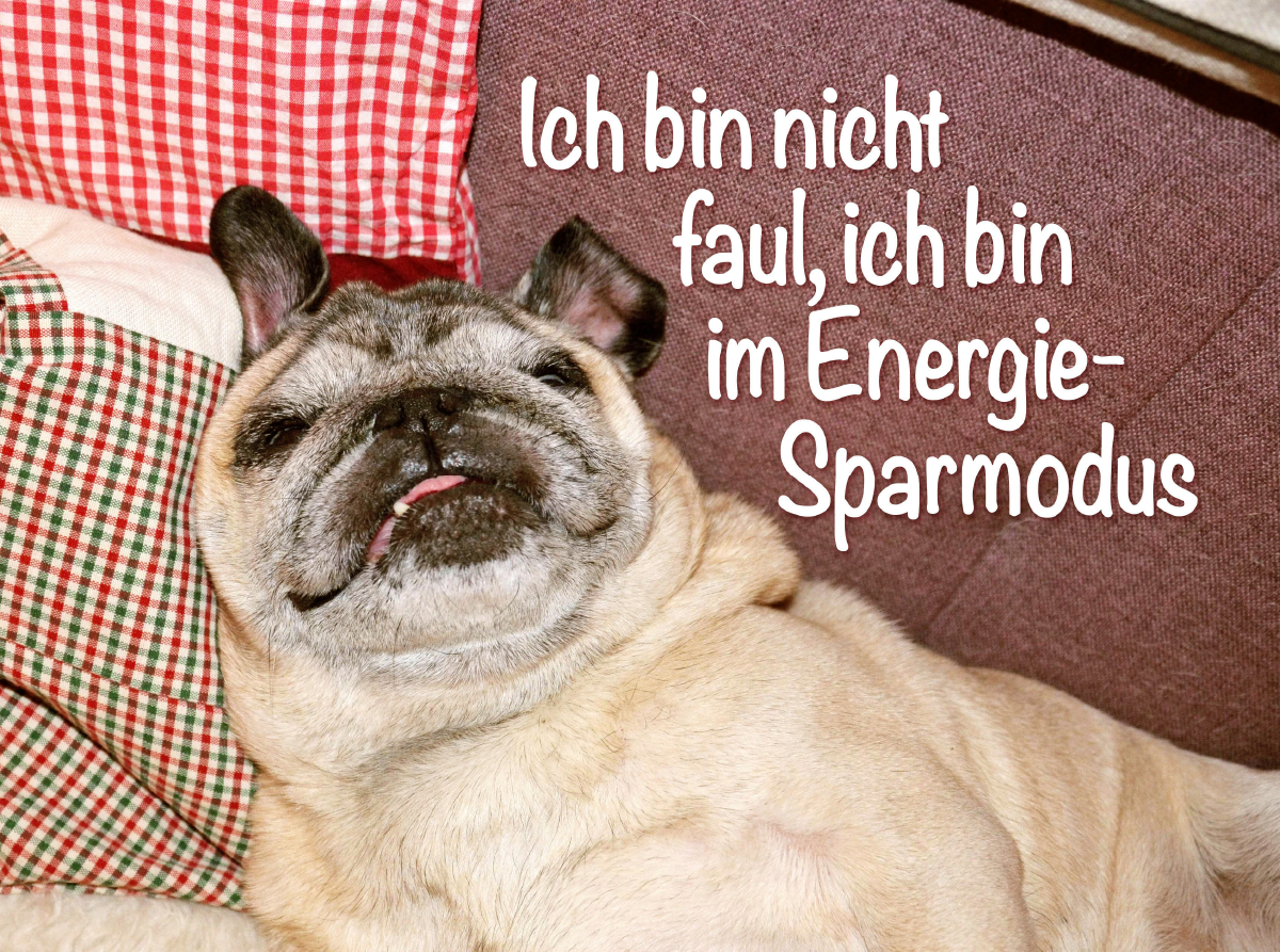 Ich bin nicht faul, ich bin im Energie-Sparmodus.