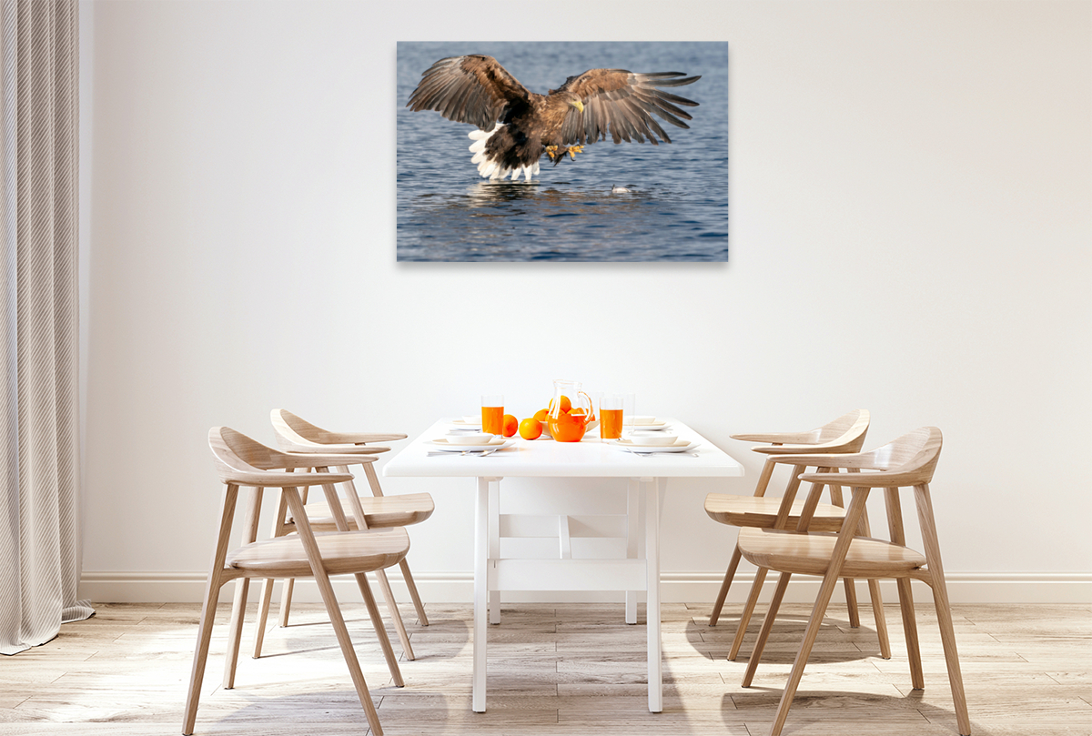 Seeadler