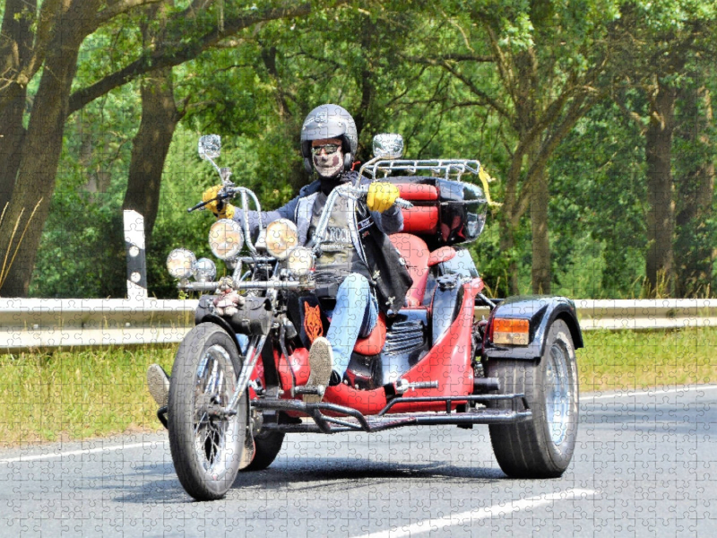 WOLF Trike