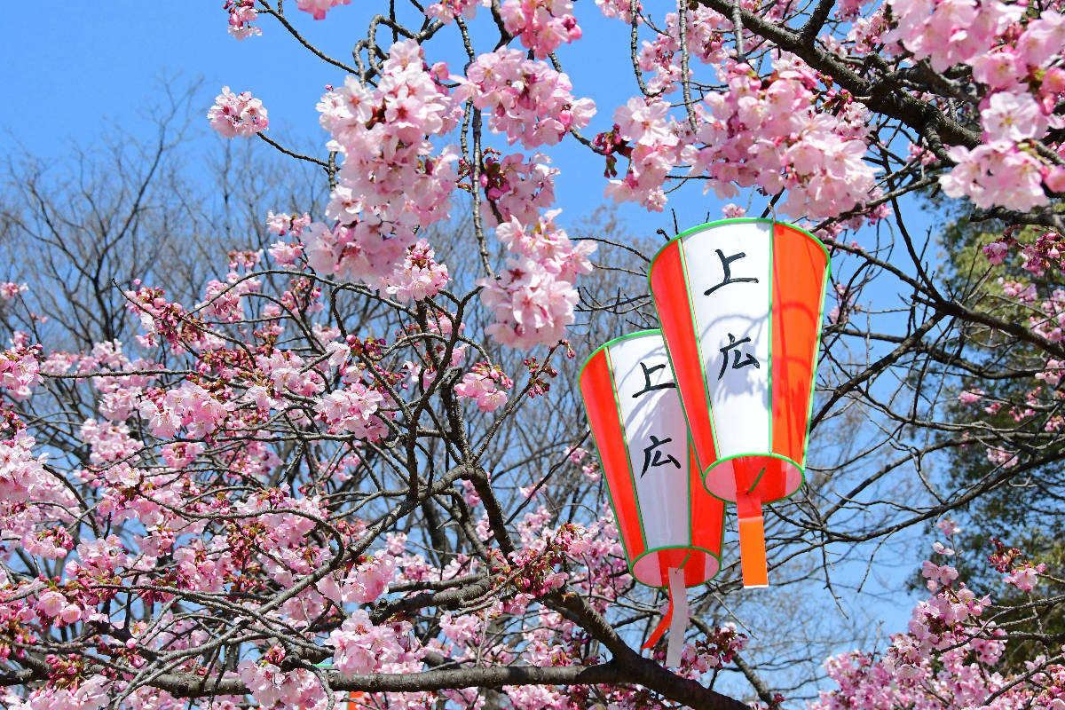 Tokyo - Ueno-Park