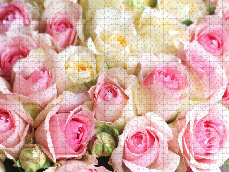 Rosen in zarten Pastelltönen - hellgelb und rosa