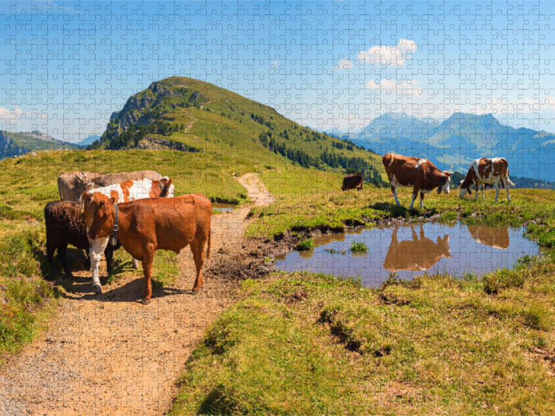 Wanderweg am Niederhorn in den Schweizer Alpen