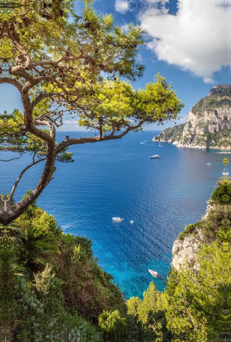 Blick zum Punta de Masullo auf Capri